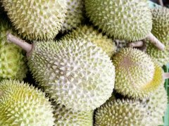 榴蓮這樣準備資料 報關(guān)一點都不難