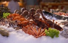 國外進口報關(guān)資料 專業(yè)清關(guān)海鮮公司