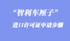 進口智利車?yán)遄由虾箨P(guān)許可證申請流程步驟