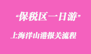 上海洋山港保稅區(qū)一日游報(bào)關(guān)流程