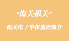 海關電子申報流程簡介
