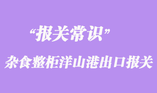 上海雜食整柜洋山港出口報關(guān)
