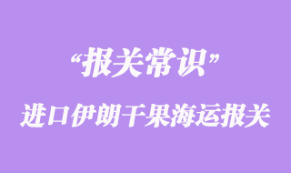 進口伊朗干果海運報關(guān)貨運代理操作流程