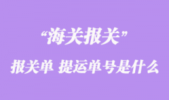 進出口貨物報關單“提運單號”是什么