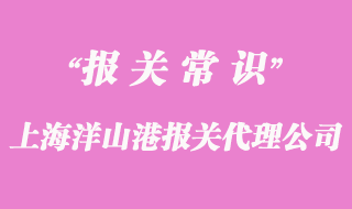 上海洋山港報關(guān)代理公司_18年經(jīng)驗