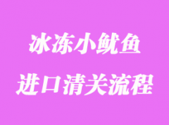 美國冰凍小魷魚進口清關流程