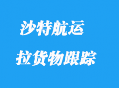 沙特航運(yùn)海運(yùn)_沙特航運(yùn)貨物跟蹤