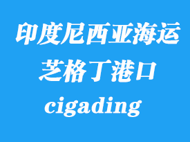 印度尼西亞海運(yùn)港口：芝格?。╟igading）港口